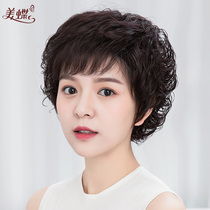 women's wig short curly hair realistic hair thread middle aged elderly full head cover fashionable women's mother's round face false head cover