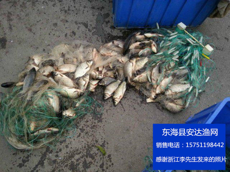 三层粘网_三层粘网丝鱼网渔网渔网沾网捕白条网鱼鱼网网捕沉网 - 阿里