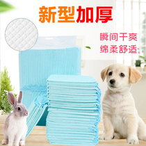 Rabbit Dutch pig dog supplies Rabbit supplies pets super absorbent and deodorant diapers urine pads