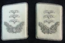 Original style van German Defense Force Air Force Armored Division Captain Metal Wire Embroidery Title