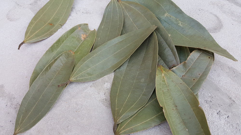 【满50元包邮】桂叶,肉桂叶,新晒优品 500g