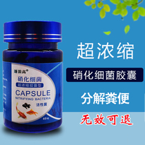 Nitrifying Bacterial Capsules for Digestion of Bacterial Fish Tank with Nitrifying Bacteria Aqua Living Nitrifying Bacteria Tank Purifying Agent Purifying Water