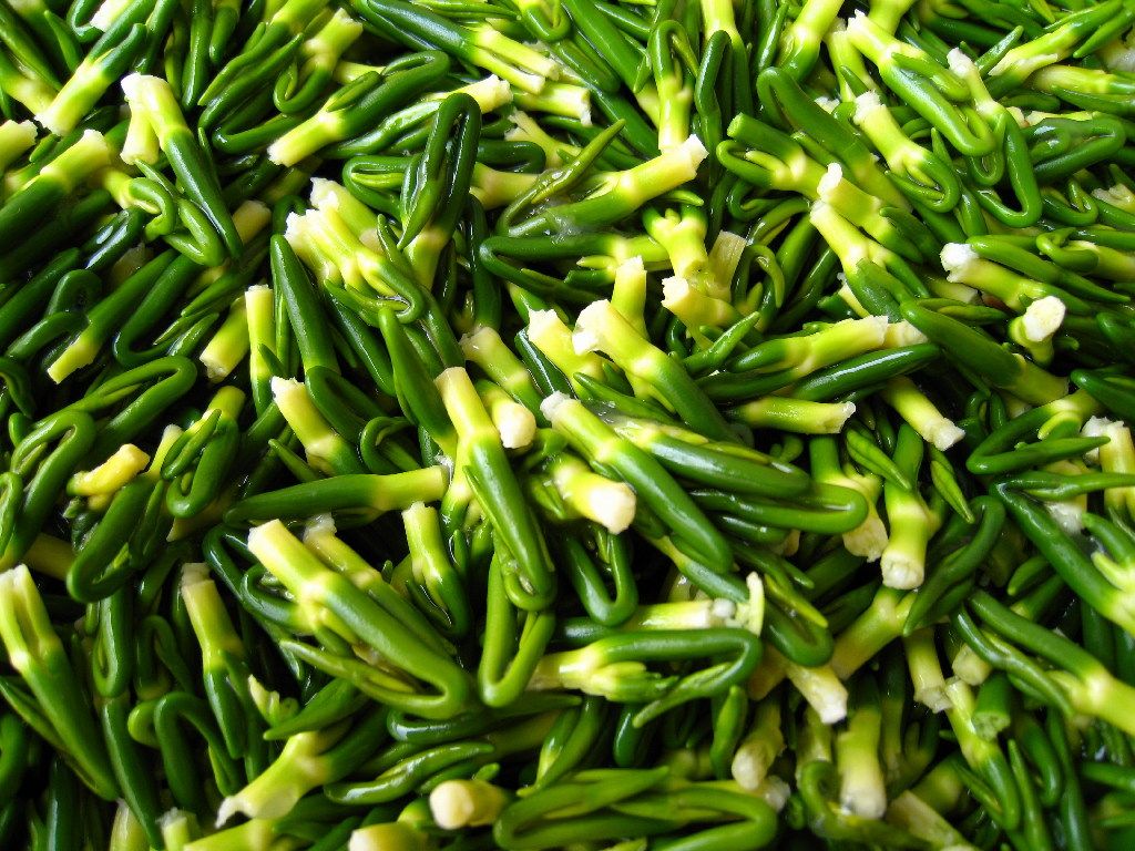 莲芯 建宁 莲子芯 农家自产 莲子心 特级莲芯 白莲 莲心 500g包邮