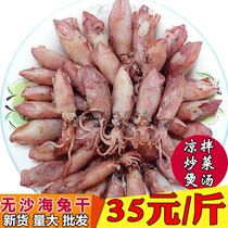 No sand sea rabbit dried seafood dry goods 500g small squid dried seedless cuttlefish pen tube fish dried squid 1kg