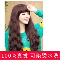 Real hair hair set wig female hair Qi banghai long curly hair fluffy corn hot whole wig headgear