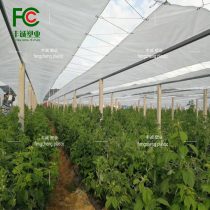 Transparent rainproof cloth waterproof rain shelter thickened plastic cloth outdoor balcony rain and wind sun protection tarpaulin