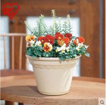 Japan Alice COLTY Round resin flower Pot Round basin Wave Basin No 4 5 6 7 8 9 10