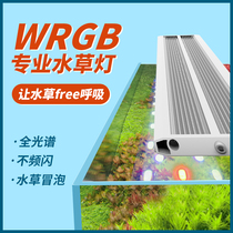 Aquariums bio-male fish tank lamp Lighting special led lamp waterproof full spectrum water straw light burst algae clip lamp