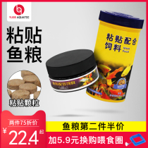 Bio Male Paste Feed Patch Feed Fish Grain Peacock Salmon Special Fish Food for the Boiled Water family Pavilion