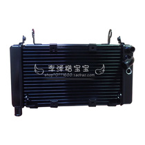 Suitable for yellow dragon BJ600GS-A BN600i tank oil oil coolers radiator