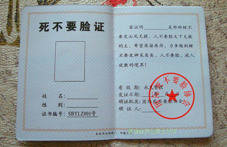 搞笑证书 死不要脸证 diy趣味生日礼品 最佳送男女朋友创意礼物