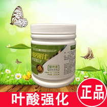 Golden Health Wufu Homeland Yam Powder Calcium Folic Acid Fortified Yam Compound Powder Nutrition Self-help Project