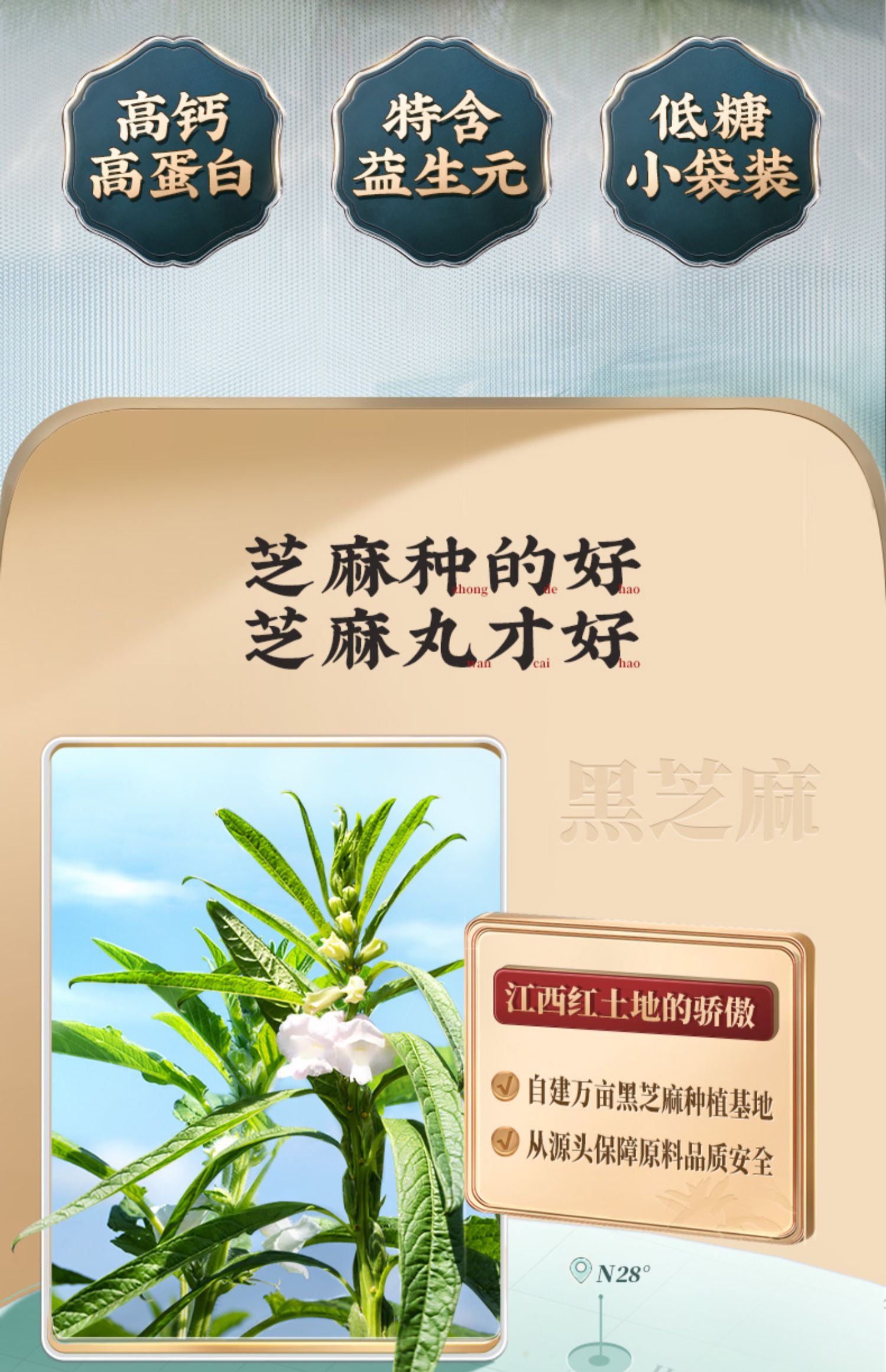 稳定签到！老金磨方无糖黑芝麻丸72g