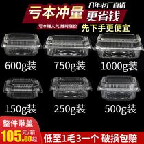 Disposable fruit box with cover transparent food fruit and vegetable preservation pastry box plastic rectangular fruit cut packaging box