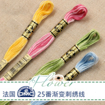 French DMC cotton gradual line 25 embroidery thread cross embroidery thread rainbow thread single price
