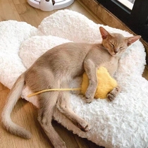 Autumn Winter Pet Cute ins Wind soft and warm thickened Puppy kitty Sleeping Mat Clouds star Suede Seat Cushion