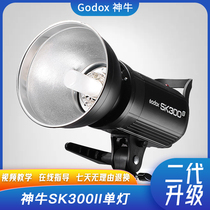 Shenniu Photography Lamp SKII300w Second Generation Studio Shadow Indoor Taobao Photo Infill Light Light Soft Light Equipment