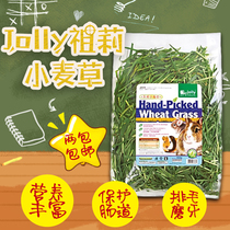 2 packs of Jolly Zuli hand-picked wheat grass 350g rabbit ChinChin guinea pig Dutch pig pasture JP219