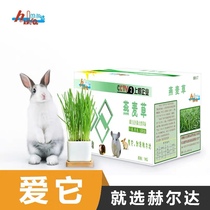 Herda Boutique Oatmeal Rabbit Dragon Cat Gentian Dutch pig guinea pig guinea grass main grass Shepherd 1kg