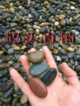 Pier direct multicolored pebbles rain stone natural yellow sand cement