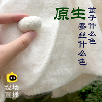 (Naked silk tire) Tongxiang handmade silk quilt 100% mulberry silk twin Palace mother was made to be spring and autumn winter quilt