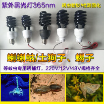 12V48V220V high-definition professional agricultural insect traps purple light black light insect traps chicken fish pond frog