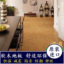 European imported cork floor Bedroom living room paste type lock type floor heating special Gano cork ice flower