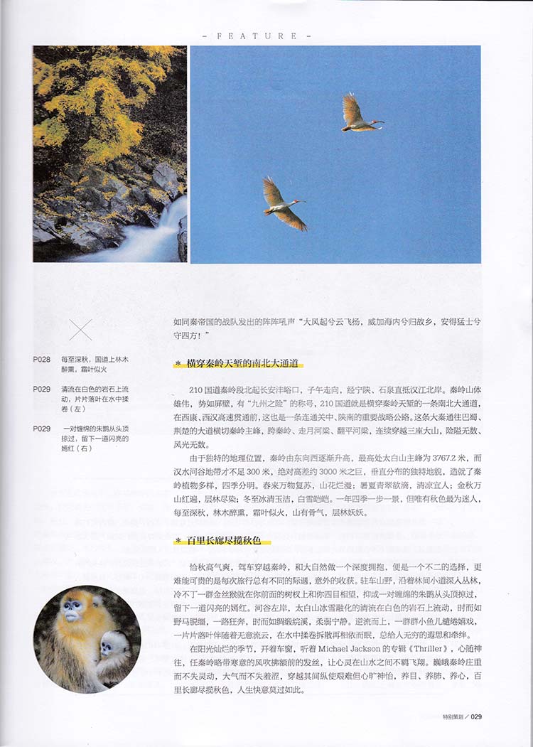 贾平凹中短篇小说自选集_贾平凹短篇小说_短篇小说贾平凹免费阅读