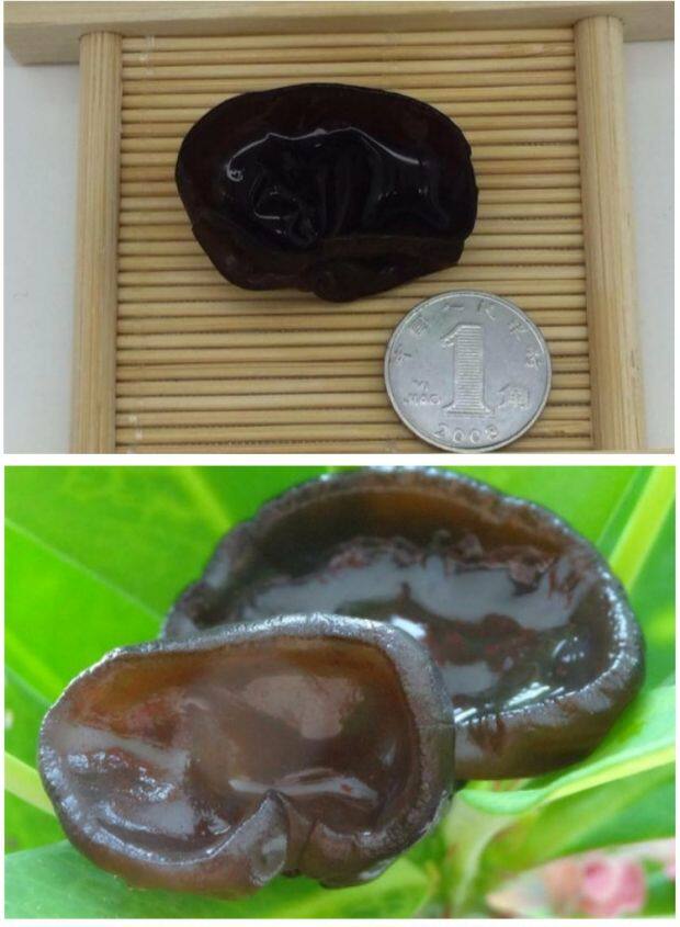 【天天特价】东北宣羊村特级黑木耳小碗耳小云耳干货小秋木耳500g_双