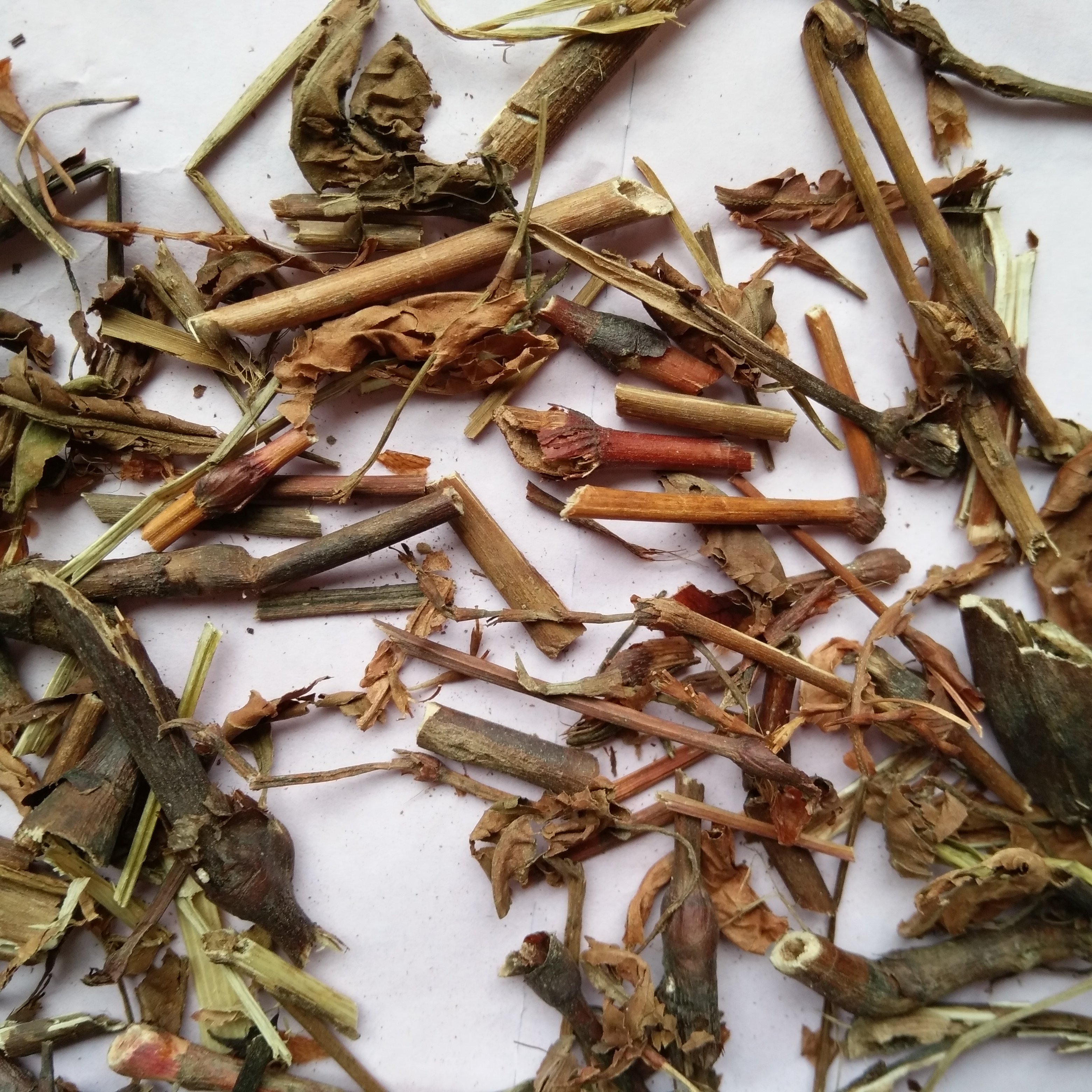 中药材羊红膻 羊洪膻 六月寒 中草药 精选羊红膻 500克 4件包邮