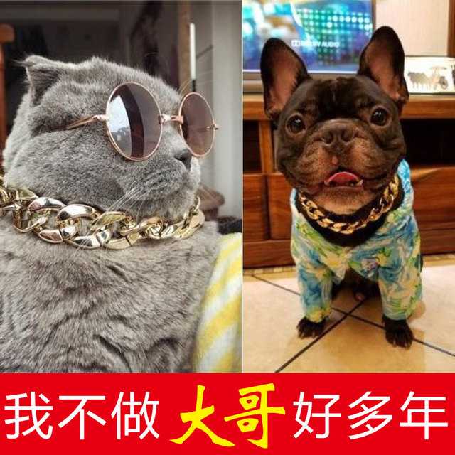 Pug French Bulldog Teddy Cat Gold Chain Small and Medium-sized Dog Collar Pet Necklace Accessories Sunglasses Pendant