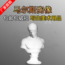 Express Plaster Avatar Malls Chest Like Avatar H50cm Sketch Plaster Exercises Write Raw Art Supplies