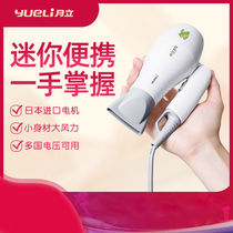 110V-220V Dual Voltage Blower American Japan Small Power Home Study Abroad Travel Portable Electric Blow