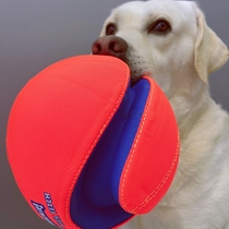 American Petmate Pet Dog Outdoor Training Stretch Interactive Circuit Rugby Chuckit Dog Football Toy