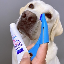 Japanese Joypet Pet Toothpaste Set Excluding Steady Toothpaste Artificial Accessible Cat Handle Dog Toothbrush