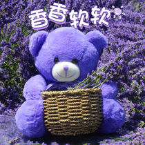 Xinjiang Iplow Lavender Little Bear Purple Paparazzi Pillow Doll Help Sleep Hug Cub plush cute to send girlfriend