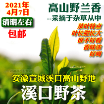 Xikou Wild Tea Orchid 2021 before and after Qingming Festival Spring Tea New Tea Green Tea Xuancheng Gaoshan Leaf 80g