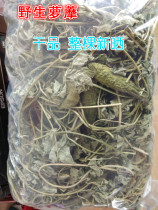 New dried products Wild radish milk pulp vine Arabica earth ancient vine canned milk pulp vine 500g