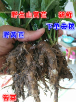 Wild mountain lettuce Fresh wild vegetable Earth lettuce Madding Duck native Ginseng Wild Lettuce 500g