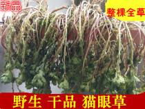 2020 New sun wild cats eye grass 500g Whole tree with Ze paint five clouds Chinese Herbal medicine