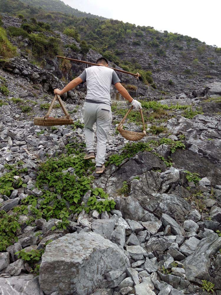 精选青龙石酸洗造景鱼缸装饰小假山山石鱼池制作奇石景造石石青龙