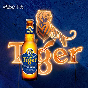 喜力虎牌经典瓶装啤酒480ml*6瓶[3元优惠券]-寻折猪