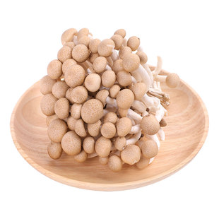 selected crab mushroom 145g