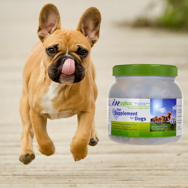 Matt's health care lecithin dog pet dog Bichon Golden Retriever beauty hair pink seaweed powder soft explosion hair care Matt's health care lecithin dog pet dog Bichon Golden Retriever beauty hair pink seaweed powder soft explosion hair care