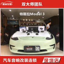 Tesla Model3 special car special car audio modification Dana horn DSP amplifier mid-bass