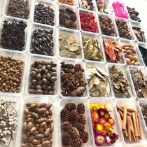 Eternal Flower Daisy Stars Dried Flower Kindergarten Handmade diy Dried Flower Material Package Presscented Flower Aroma Glue Leaf