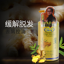 qin ye laojiangwang ginger shampoo men dandruff oil control gu fa additional anti-hair shampoo moisturize