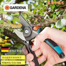 German imported GARDENA Kadina household twig green plant flowers comfortable gardening pruning scissors 8904