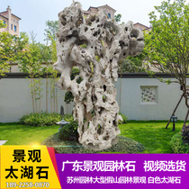 Four famous stones Taihu Stone good shape white Taihu stone garden landscape stone Chinese courtyard grassland embellishment Stone