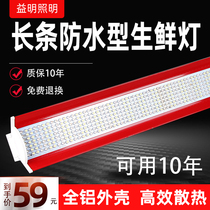 Strip Raw Fresh Light Led Vegetable Fruit Light Supermarket Pork Cooked Fresh Meat Water Fruit Shop Special Light Mall Chandeliers